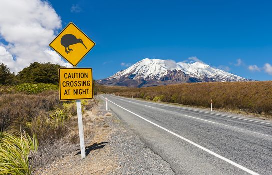 Kiwi sign near the road leading to the volcano Mt. Ruapehu, national park Tongariro. New Zealand.  