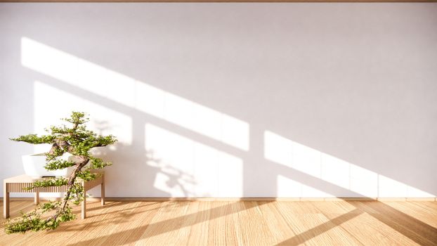 Bonsai tree on cabinet wooden on wall room zen style and decoraion wooden design, earth tone.3D rendering