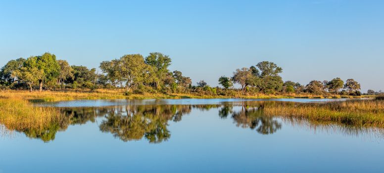 Typical beautiful african landscape, wild river in national park Bwabwata on Caprivi Strip with nice reflection in water. Namibia africa wilderness.