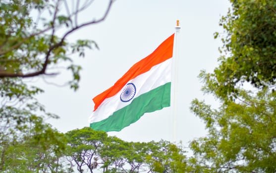 Indian flag waving in a air on independence day of india. View of flag through tree patches