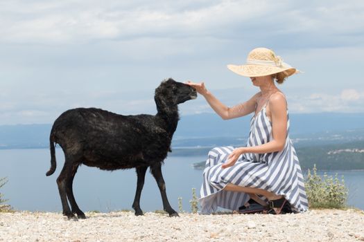 Young attractive female traveler wearing striped summer dress and straw hat squatting, feeding and petting black sheep while traveling Adriatic coast of Croatia.