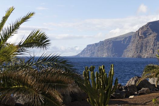 The highest european cliff at Tenerife - Los Gigantos