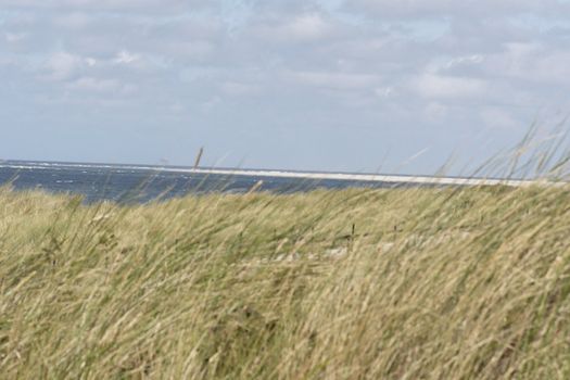 Küstenlandschaft auf Texel - coast at Tessel