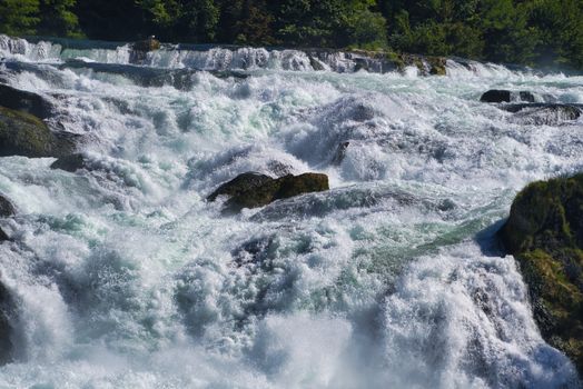 the famous rhine falls in the swiss near the city of Schaffhausen - sunny day and blue sky