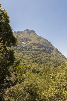 View from Table Mountain National Park in Cape Town, South Africa.