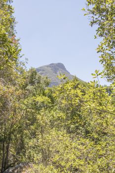 Mountains in the Tablemountain National Park, Cape Town, South Africa. Panorama of forest, blue sky and mountains.