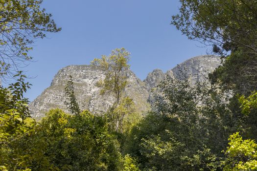 Mountains in the Tablemountain National Park, Cape Town, South Africa. Panorama of forest, blue sky and mountains.