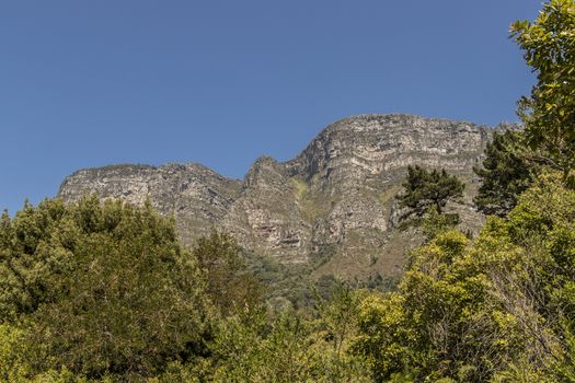 Mountains in the Tablemountain National Park, Cape Town, South Africa. Panorama of forest, blue sky and mountains.