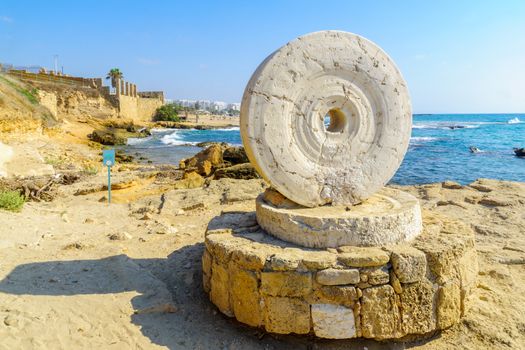 View of an old Millstone on the coast, in Achziv national park, northern Israel