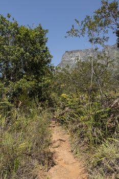 Hiking trail and mountain view in the Tablemoutain National Park, Cape Town, South Africa.