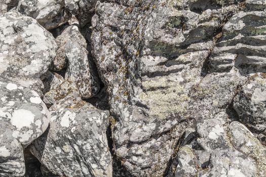 Texture from the rock in the Table Mountain National Park in Cape Town, South Africa.