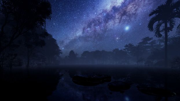 Stones on lake surrounded by tropical jungle against starry sky