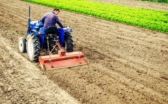 Farmer drives a tractor with a milling machine. Loosens, grind and mix soil on plantation field. Field preparation for new crop planting. Loosening surface, cultivating the land. Farming, agriculture.