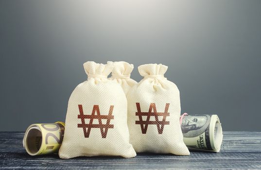 South korean won money bags and cash. National gold and foreign exchange reserve. Economy monetary policy. Financial resources, grants, project financing. Capital Investments. Trade development.