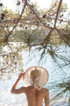 Rear view of topless beautiful woman wearing nothing but straw sun hat realaxing on wild coast of Adriatic sea on a beach in shade of pine tree. Relaxed healthy lifestyle concept.