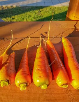 Clean fresh carrots on a wooden background, Golden hour, sunlight, top view, outdoor,