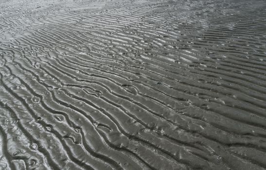 Gray sand under the sea texture background with sun light. Natural curve line sand under the sea in Tidal phenomena