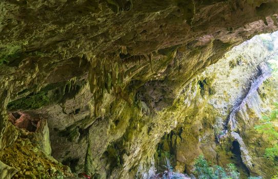 Inside Phraya Nakhon Cave with Stalactites and Stalagmites and green tree at Prachuap Khiri Khan Thailand. Natural cave in unseen Thailand