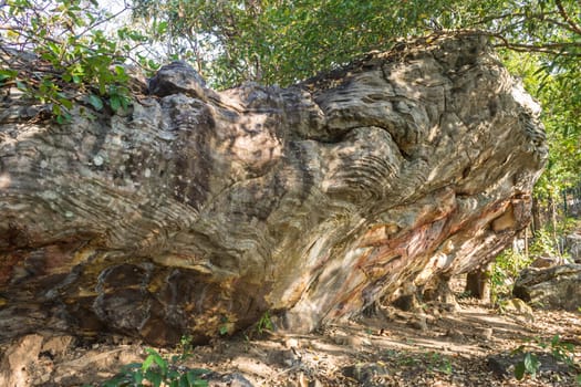 Stone Rock Cliff Mountain Hill or Pha Ngerp Phayao Attractions Northern Thailand Travel Normal. Natural rock cliff mountain hill with warm sun light and tree. Phayao attractions or landmark 
northern Thailand travel