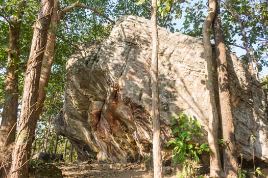 Stone Rock Cliff Mountain Hill or Pha Ngerp Phayao Attractions Northern Thailand Travel Right. Natural rock cliff mountain hill with warm sun light and tree. Phayao attractions or landmark 
northern Thailand travel