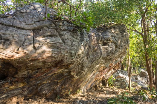 Stone Rock Cliff Mountain Hill or Pha Ngerp Phayao Attractions Northern Thailand Travel Side. Natural rock cliff mountain hill with warm sun light and tree. Phayao attractions or landmark 
northern Thailand travel