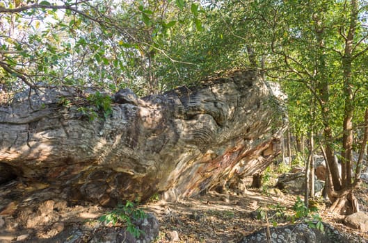Stone Rock Cliff Mountain Hill or Pha Ngerp Phayao Attractions Northern Thailand Travel Wide. Natural rock cliff mountain hill with warm sun light and tree. Phayao attractions or landmark 
northern Thailand travel