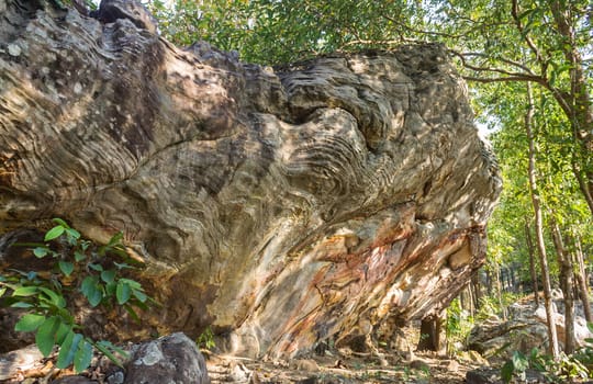 Stone Rock Cliff Mountain Hill or Pha Ngerp Phayao Attractions Northern Thailand Travel Zoom. Natural rock cliff mountain hill with warm sun light and tree. Phayao attractions or landmark 
northern Thailand travel