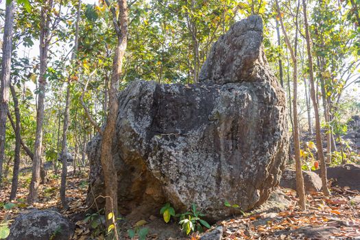 King Seat Stone or Rock at Phayao Attractions Northern Thailand Travel Front. Natural rock or stone is called King Seat at Phayao landmark northern Thailand travel