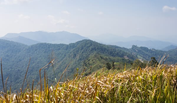 Phu Chi Fa Forest Park with Grass Field Green Mountain Sky and Cloud. Phu Chi Fa forest park view point Chiang Rai Northern Thailand travel