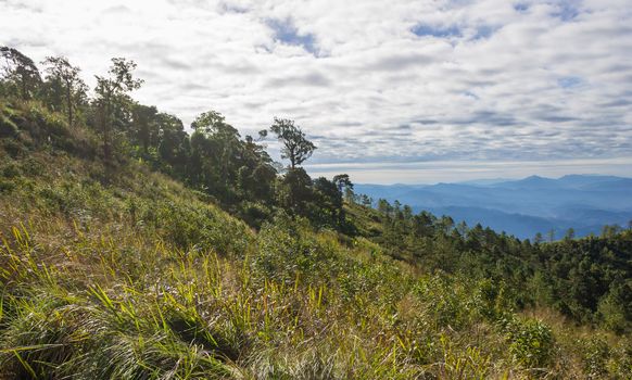 Mountain or Hill at Phu Langka National Park Phayao Thailand. Mountain or Hill and Blue Sky and Cloud at Lan Hin Lan Pee Phu Langka National Park Phayao Northern Thailand 
Travel