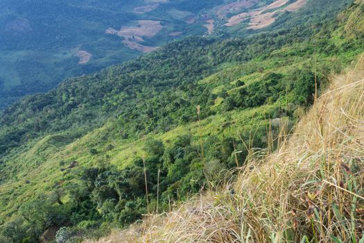 Phu Langka Rim Mountain National Park View Point Phayao Thailand Travel. Phu Langka national park view point with grass field and tree. Northern Thailand travel