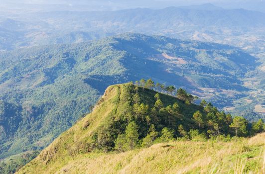 Phu Nom at Phu Langka National Park with Yellow Sun Light Zoom. Phu Nom mountain with grass field green tree and cloud. Northern Thailand travel