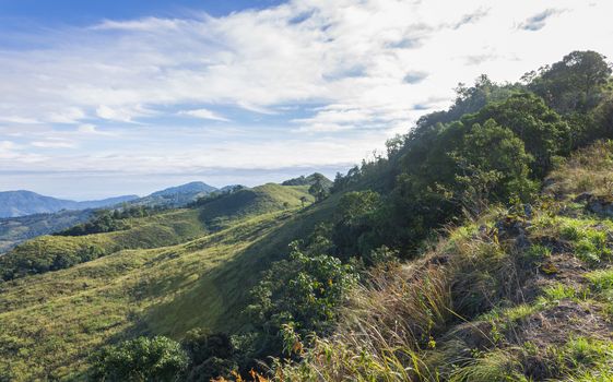 3 Green Tree Mountain with Warm Sun Light and Blue Sky Cloud at Phu Langka National Park Wide. Green Tree Mountain or Hill at Lan Hin Lan Pee Phu Langka National Park Northern 
Phayao Thailand Travel