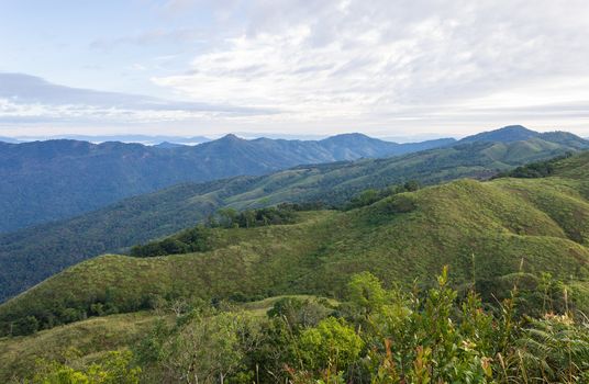 3 Tree Mountain at Phu Langka National Park View Point Tree Foreground. 3 mountain rim with cloud and sky at Phu Langka national park view point. Northern Thailand 
travel