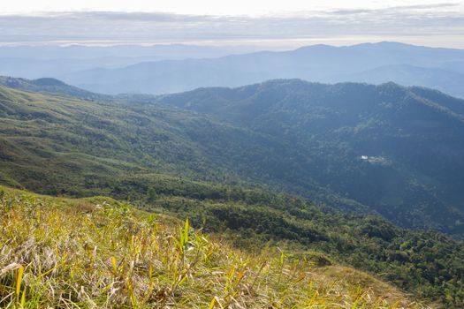 Grass Field at Phu Lanka Mountain National Park Phayao Thailand Travel. Yellow grass field on Phu Langka mountain and green tree Phayao Thailand travel. Northern Thailand 
travel