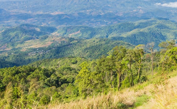 Grass Field on Mountain with Sky and Cloud at Phu Langka National Park Phayao Thailand. Landscape mountain or hill at Lan Hin Lan Pee view point Phu Langka national park 
Phayao Northern Thailand travel