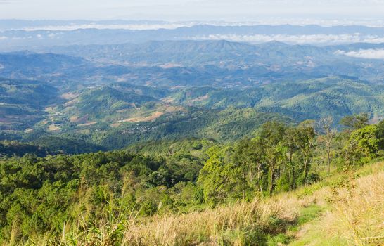 Grass Field on Mountain with Sky and Cloud at Phu Langka National Park Phayao Thailand. Landscape mountain or hill at Lan Hin Lan Pee view point Phu Langka national park 
Phayao Northern Thailand travel