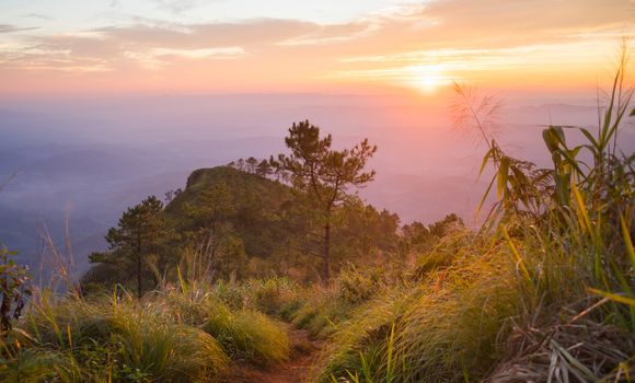 Gold Sunset and Purple Light Phu Nom at Phu Langka National Park Thailand with Fog on Sky Normal. Phu Nom at Phu Langka National Park and grass field tree blue sky cloud sunset and fog. 
Thailand travel at Phu Langka National Park