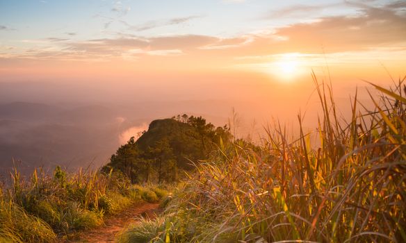 Gold Sunset Light Phu Nom at Phu Langka National Park Thailand with Fog on Sky. Phu Nom at Phu Langka National Park and grass field tree blue sky cloud sunset and fog. 
Thailand travel at Phu Langka National Park