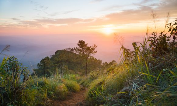 Gold Sunset and Purple Light Phu Nom at Phu Langka National Park Thailand with Fog on Sky Wide. Phu Nom at Phu Langka National Park and grass field tree blue sky cloud sunset and fog. 
Thailand travel at Phu Langka National Park