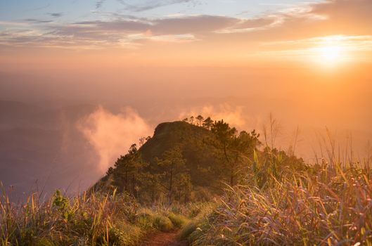 Gold Sunset Light Phu Nom at Phu Langka National Park Thailand with Fog on Sky. Phu Nom at Phu Langka National Park and grass field tree blue sky cloud sunset and fog. 
Thailand travel at Phu Langka National Park