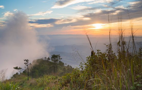 Phu Nom at Phu Langka National Park with Sunset and Fog on Sky. Phu Nom at Phu Langka National Park and grass field tree blue sky cloud sunset and fog. Thailand travel at Phu 
Langka National Park