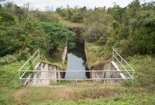 Watergate or Dam or Sluice with Natural Green Forest. Watergate or Dam or Sluice with water in Natural Green Forest