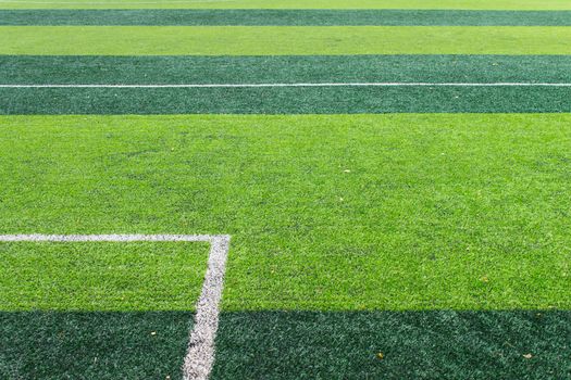 white goal line of soccer field. Line on green artificial grass background.