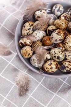 pile of Easter quail eggs on gray fabric cotton rag on concrete background, Round ceramic plate. Space for text