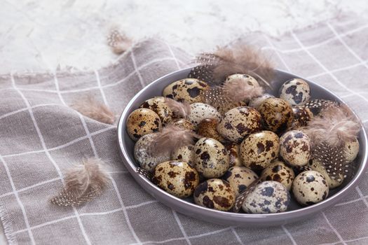 pile of Easter quail eggs on gray fabric cotton rag on concrete background, Round ceramic plate. Space for text