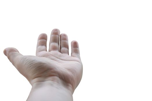 the palm of the person's hand is pointed up on a white isolated background
