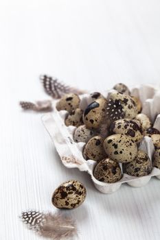 Easter quail eggs in container on white bright background. Space for text