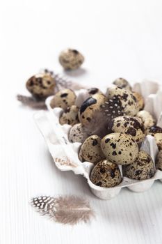 Easter quail eggs in container on white bright background. Space for text