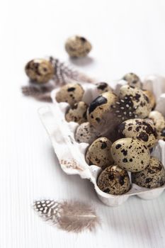 Easter quail eggs in container on white bright background. Space for text